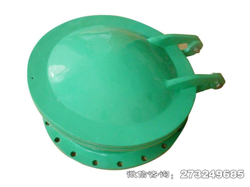 呼和浩特耐腐蚀管道玻璃钢拍门