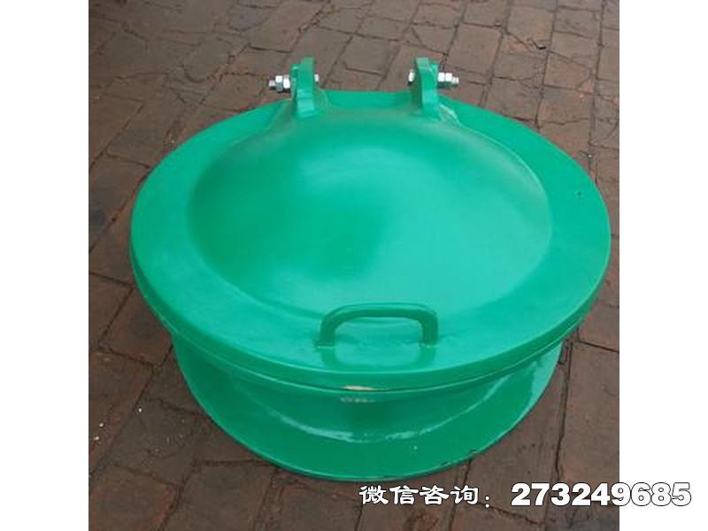 肥东县排污口玻璃钢拍门