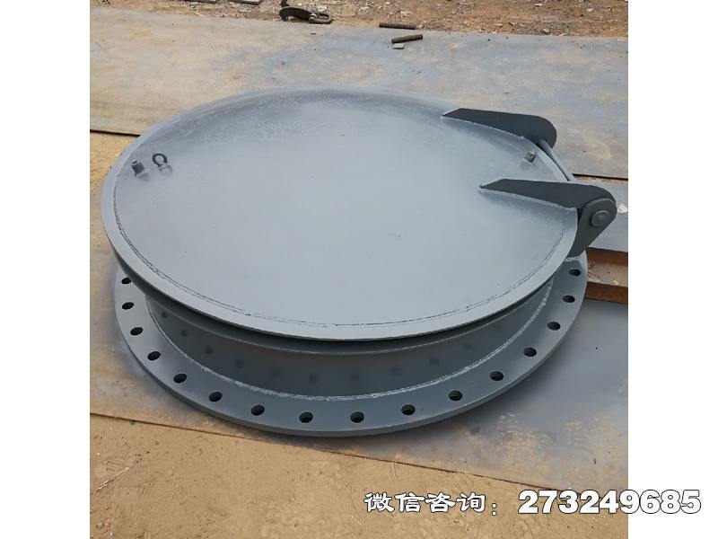 天津不锈钢法兰连接拍门