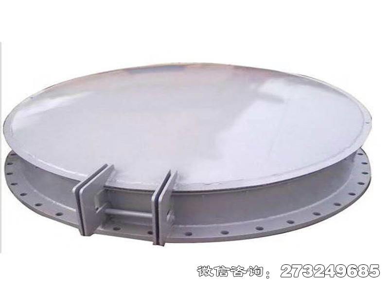 天津全不锈钢拍门