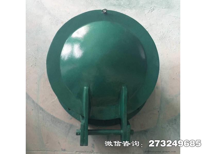 天津玻璃钢圆形拍门